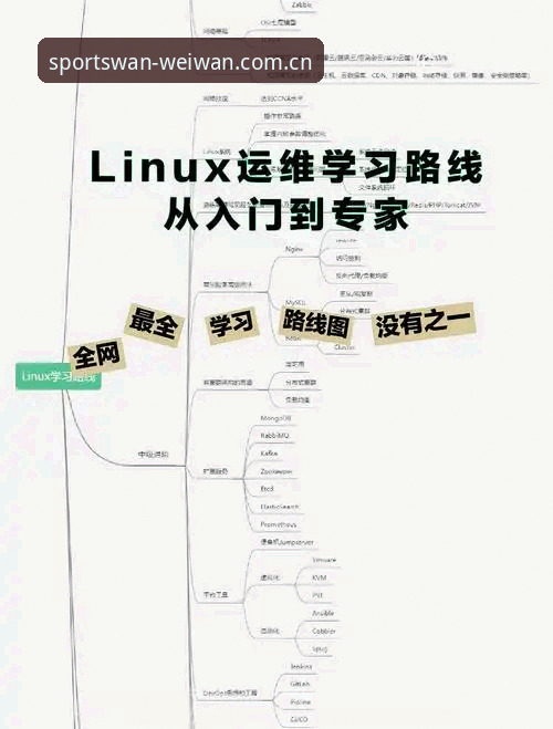微玩体育数据查询操作教程：从入门到精通的全流程指南